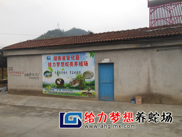 给力梦想养蛇场