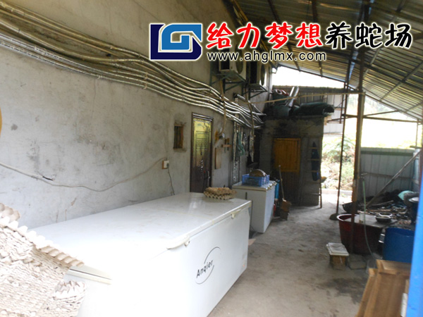 给力梦想养蛇场