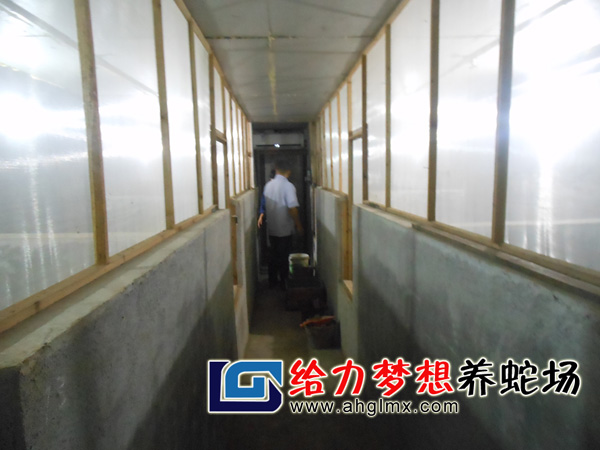 给力梦想养蛇场