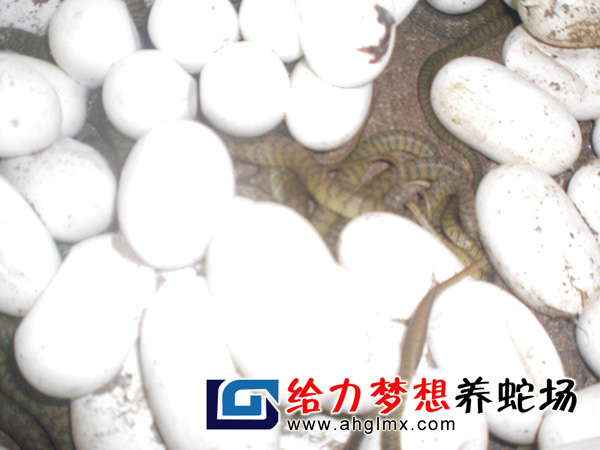 ˮ������