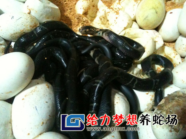 �۾�����