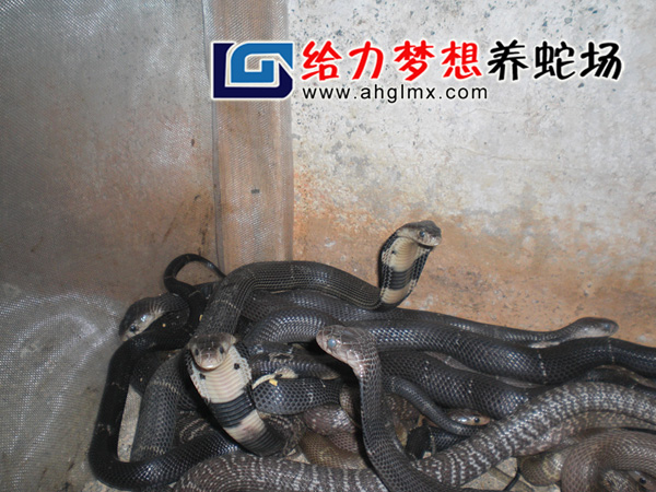 �۾�����