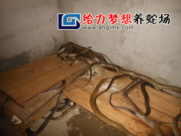 ���߳�,���߻���