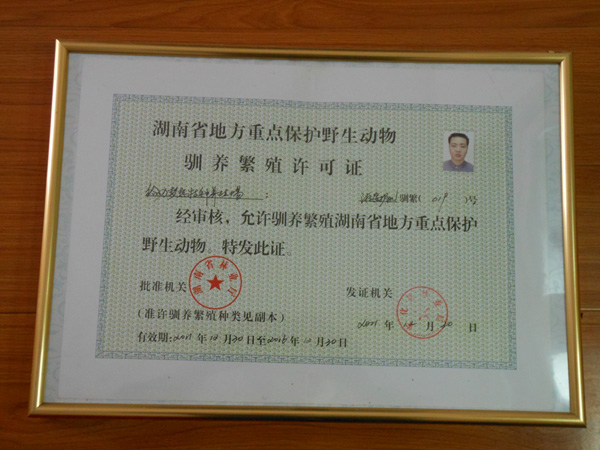 ����ѱ������֤