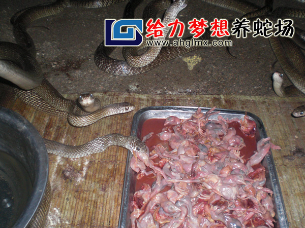 ˮ������ֳ