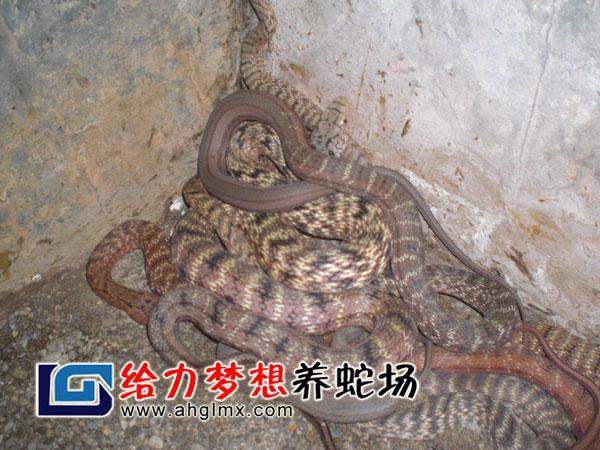 ���������������