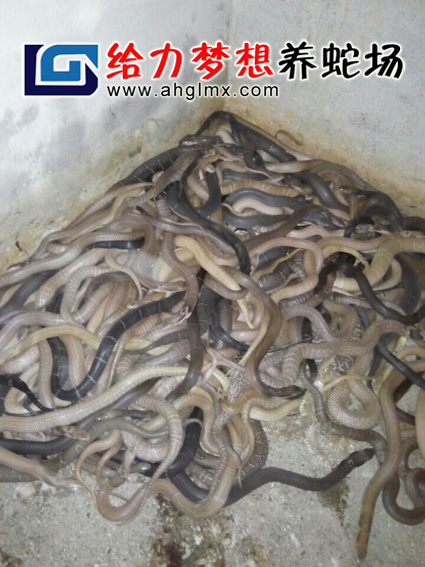 �۾�������