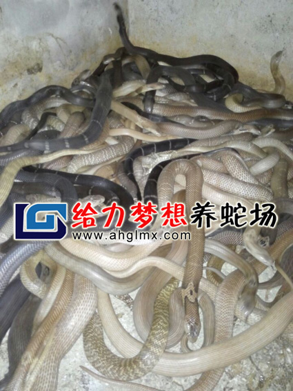 �۾�������