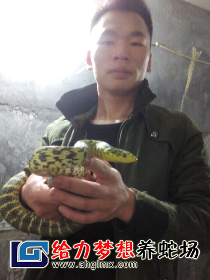 ѧԱѧϰ���߼���